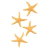 4 Etoiles de mer en résine 4