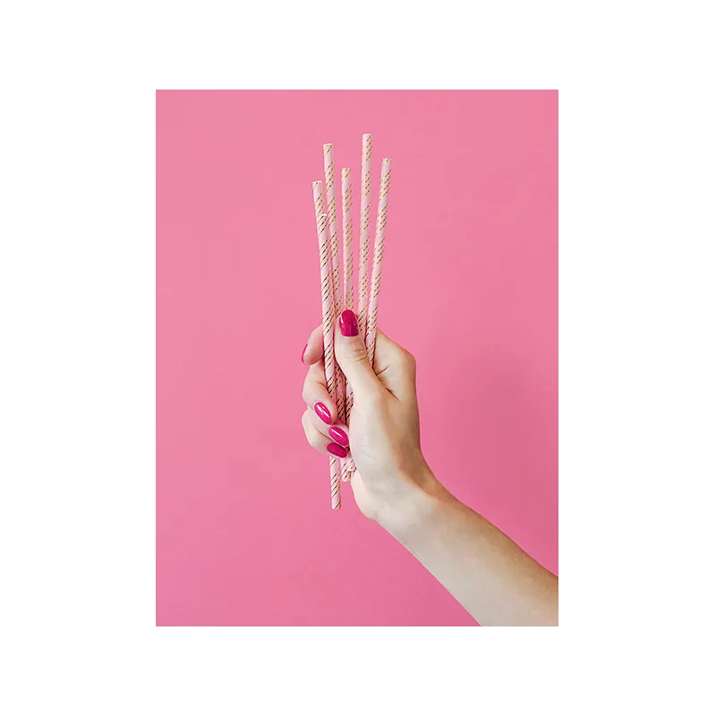 10 Pailles en carton roses rayées doré métallisé 19,5 cm