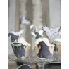 6 Habillages moules à cupcake apprenti sorcier