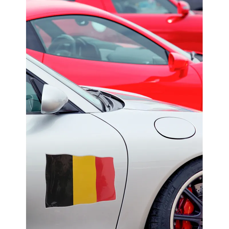 Autocollant de voiture Belgique 22 x 33 cm