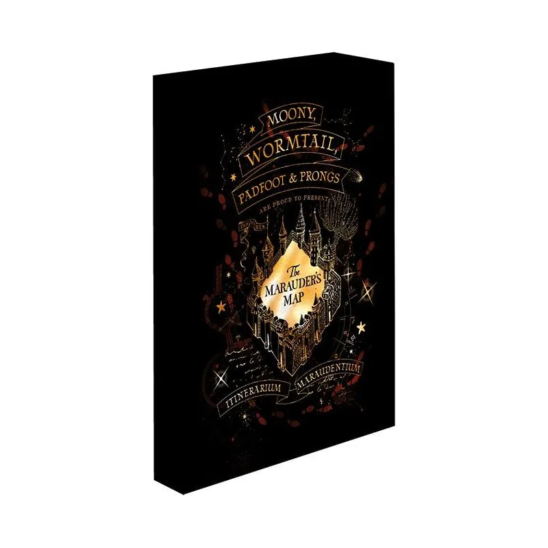 HARRY POTTER - Carte du Maraudeur - Canvas Lumineux 40X30 Cm