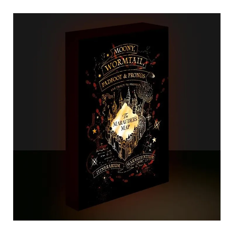 HARRY POTTER - Carte du Maraudeur - Canvas Lumineux 40X30 Cm