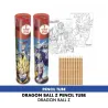DRAGON BALL Z - Groupe - Tube 2 posters + crayons