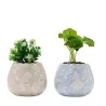 ALICE AUX PAYS DES MERVEILLES - Duo - 2 Mini Pots + Fausses Plantes