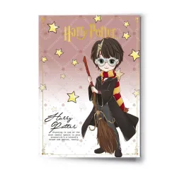 HARRY POTTER - Harry - Carte de Voeux avec Pin's