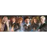HARRY POTTER - Puzzle Panorama 1000P