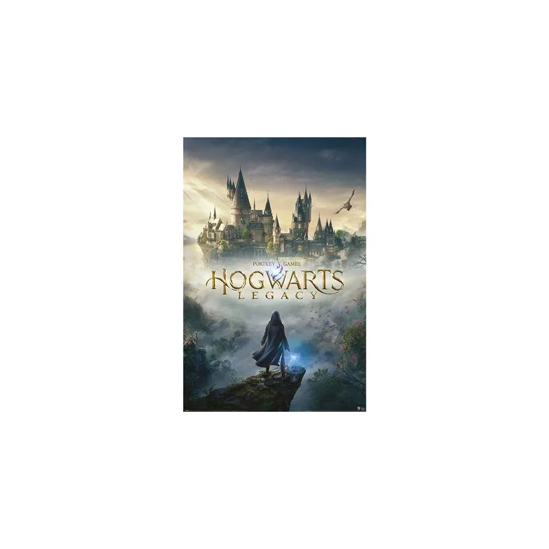 HOGWARTS LEGACY - Wizarding World Universe - Poster 61 x 91cm