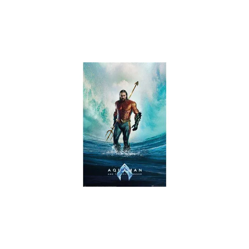 AQUAMAN ET LE ROYAUME PERDU - Tempête - Poster 61 x 91cm