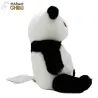 PANDA PETIT PANDA - Pan-Chan - Peluche Fluffy 16cm