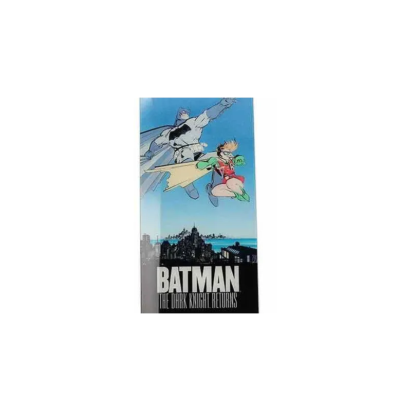 DC - Poster en Verre - Batman et Robin - 61X31x3cm