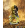 https://www.pro-bems.com/IMAGES/images_1/FIGBB24OPJF00101/m/FIGBB24OPJF00101_6.jpg