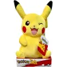 https://www.pro-bems.com/IMAGES/images_1/POKEMON37728/m/POKEMON37728_1.jpg