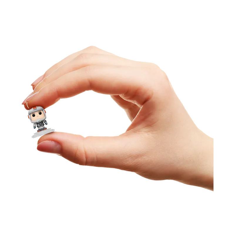 https://www.pro-bems.com/IMAGES/images_1/FIGFUN75466/m/FIGFUN75466_3.png
