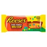 Reese's Easter Sprinkle Big Cup