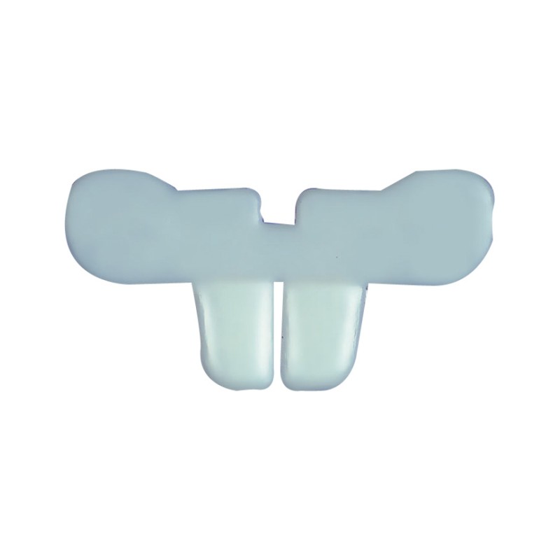 Dentier lapin adulte