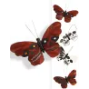 http://www.vegaoopro.com/images/rep_art/gra/347/3/347317/papillon-tete-de-mort-13-x-10-cm_347317.jpg