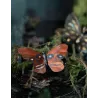 http://www.vegaoopro.com/images/rep_art/gra/347/3/347317/4-papillons-tete-de-mort-13-x-10-cm_347317_3.jpg