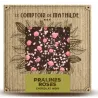 Tablette Chocolat Noir Pralines Roses 80G