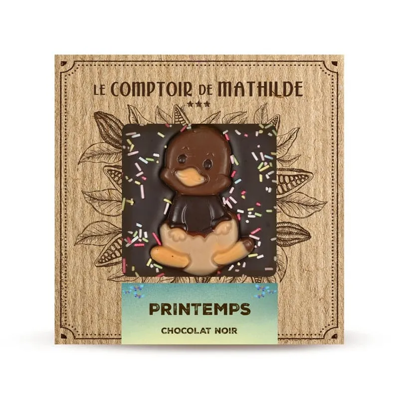 Tablette Chocolat Noir Edition Printemps 80G