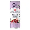 SAN PELLEGRINO MOMENTI GRENADE CASSIS CANS 33CL