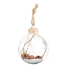 http://www.vegaoopro.com/images/rep_art/gra/334/7/334797/boule-de-noel-en-verre-avec-pommes-de-pin-6-cm_334797_2.jpg