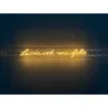 Ampoule "La vie est une fête" collection Message In The Tube