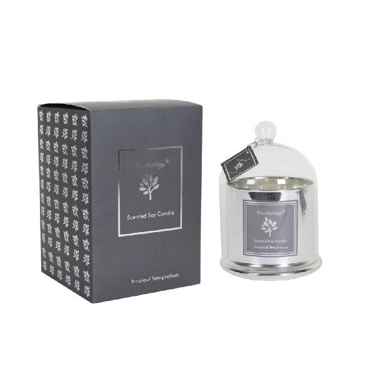 Bougie parfumée avec cloche Tropical Temptation 560g