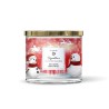 Bougie parfumée Seasons Greetings - 410g