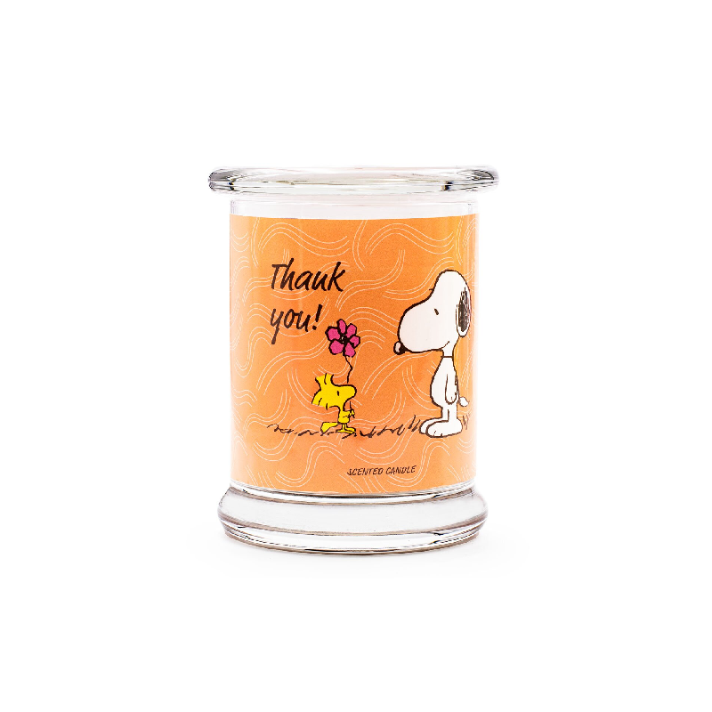 Bougie Parfumée Peanuts Thank you - 250g