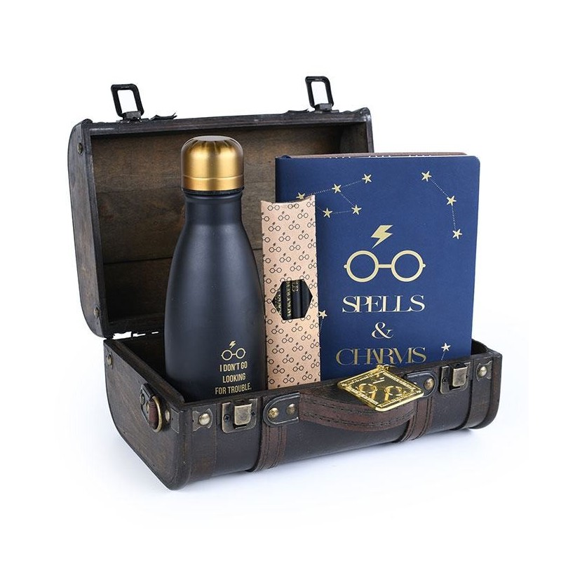 Harry Potter coffret cadeau Trouble Finds Me