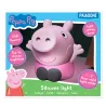 https://www.pro-bems.com/IMAGES/images_1/FIGPP13695PP/m/FIGPP13695PP_2.png