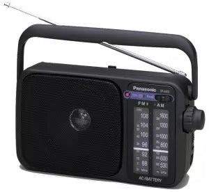 Panasonic RF 2400 DEGK