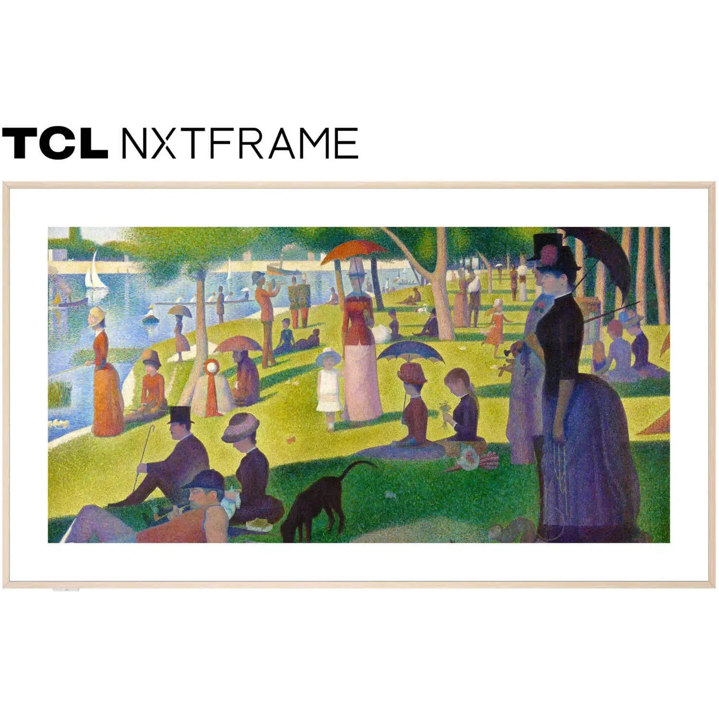 TV TCL 55A300W