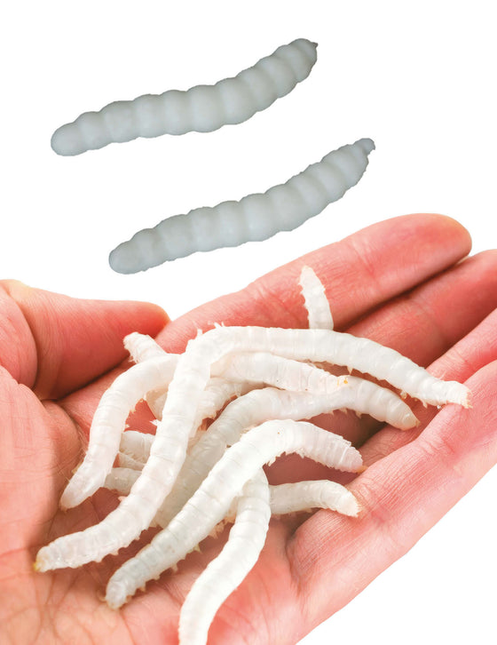 20 Asticots factices blancs 4 cm