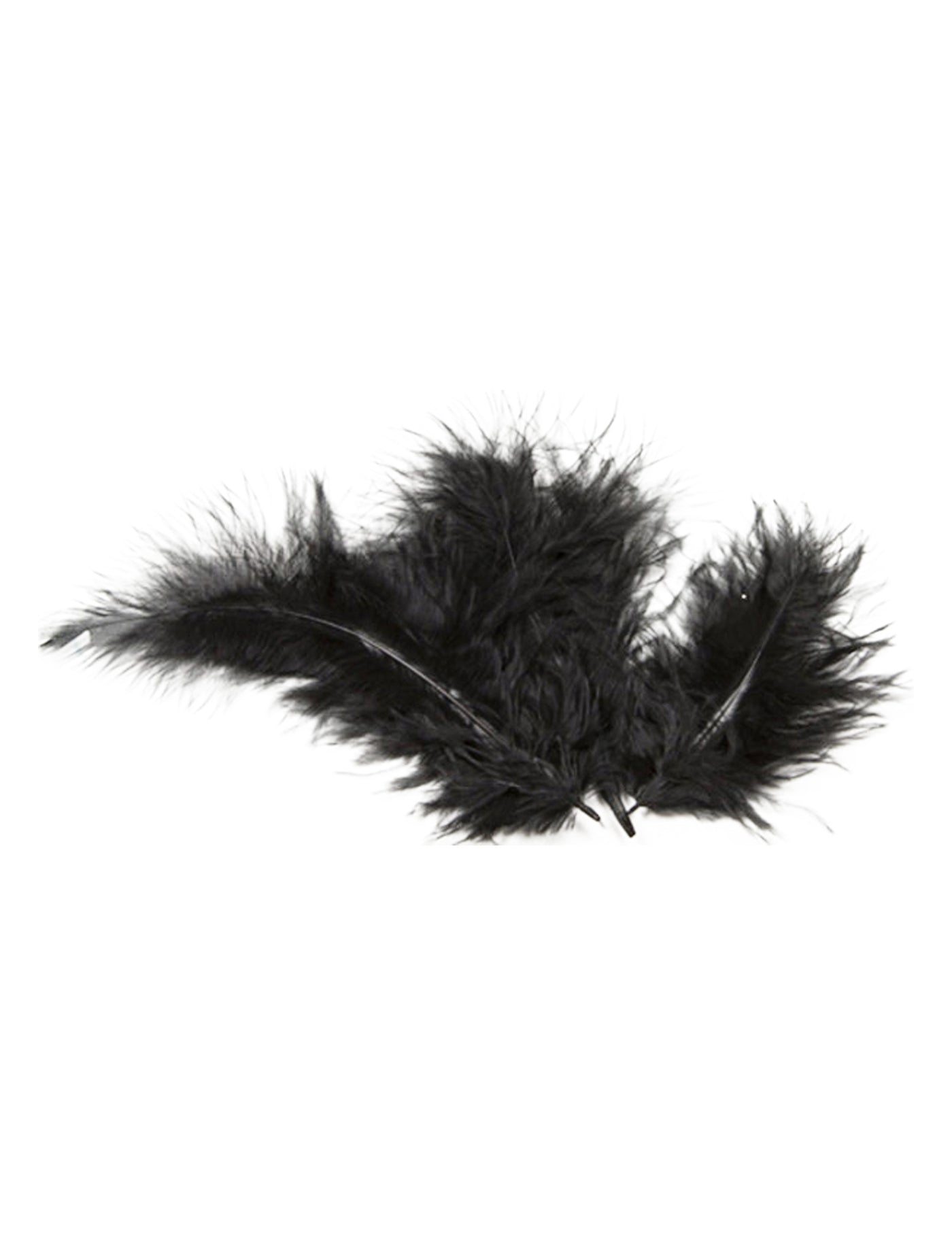 20 plumes de décoration noires 5,5 cm pour table