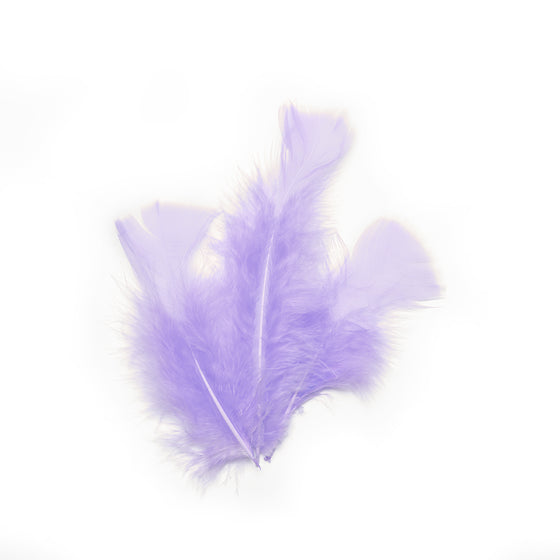 20 plumes de décoration parme 5,5 cm lilas pastel