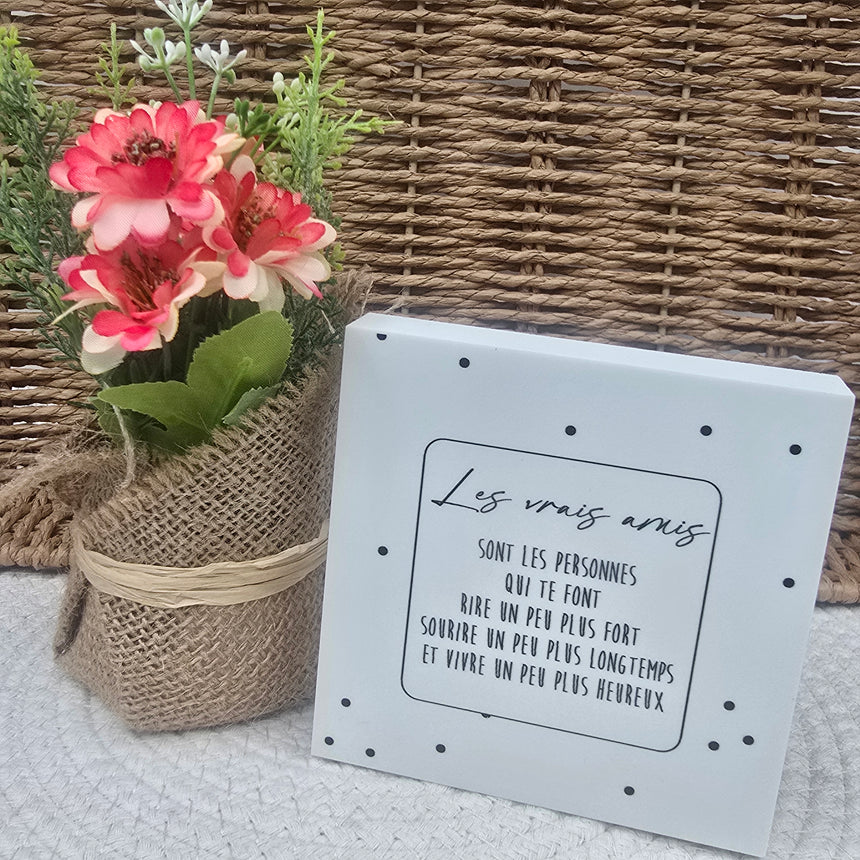 Cadre déco 15/15 "Les vrais amis ...