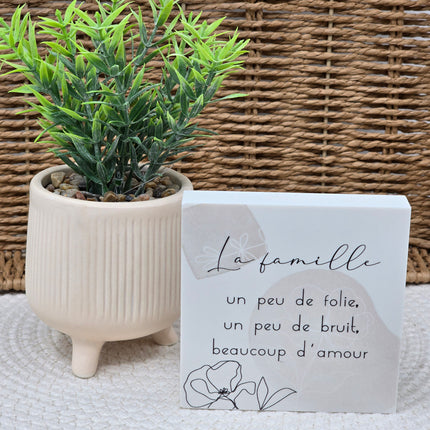 Cadre déco 10/10 "La famille un peu de folie...