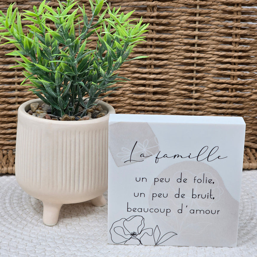 Cadre déco 10/10 "La famille un peu de folie...