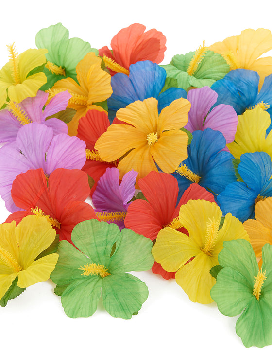 24 fleurs hawaïennes