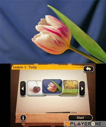 New Art Academy ( Box NL - Jeu FR/NL ... )