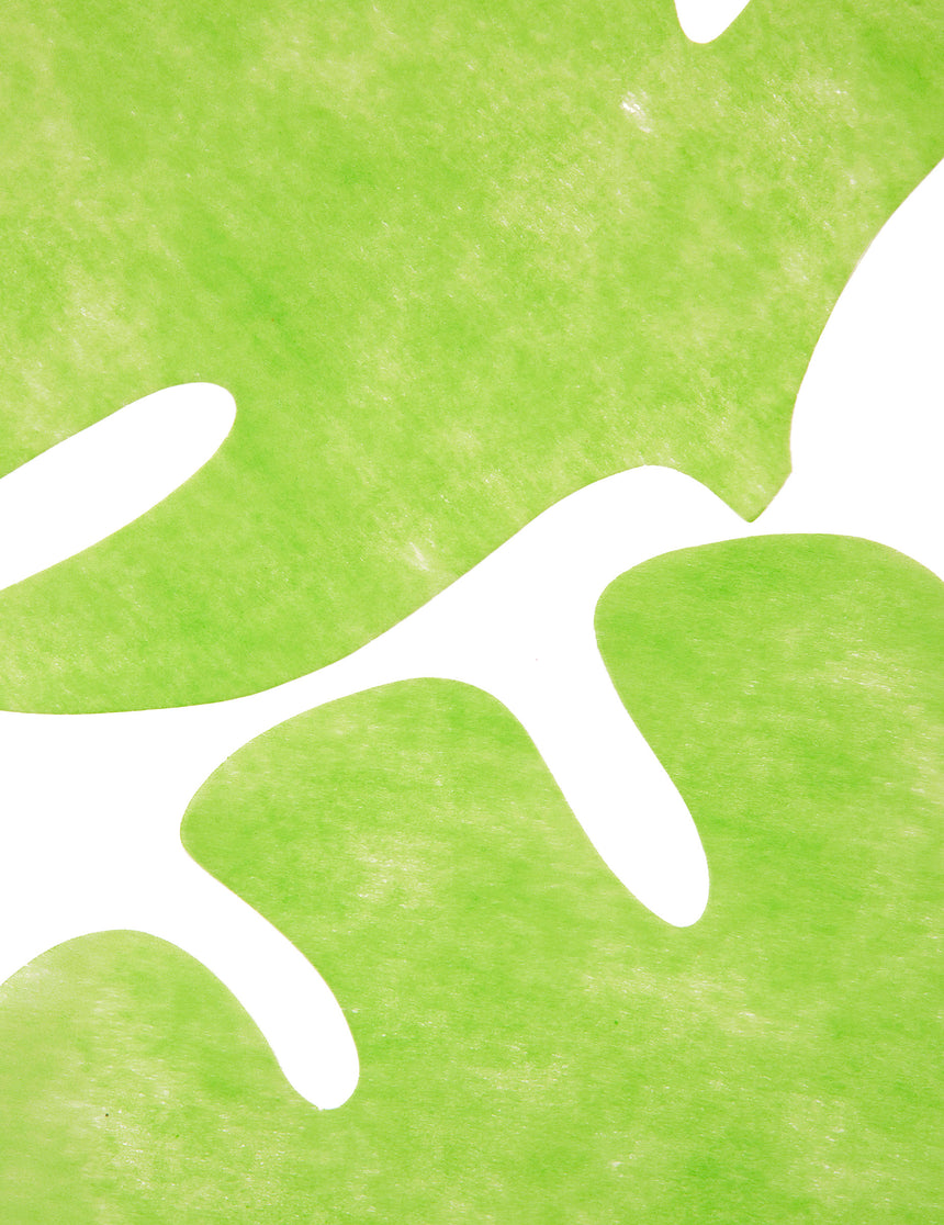 4 Sets de table en forme de feuille vert anis 35 x 40 cm