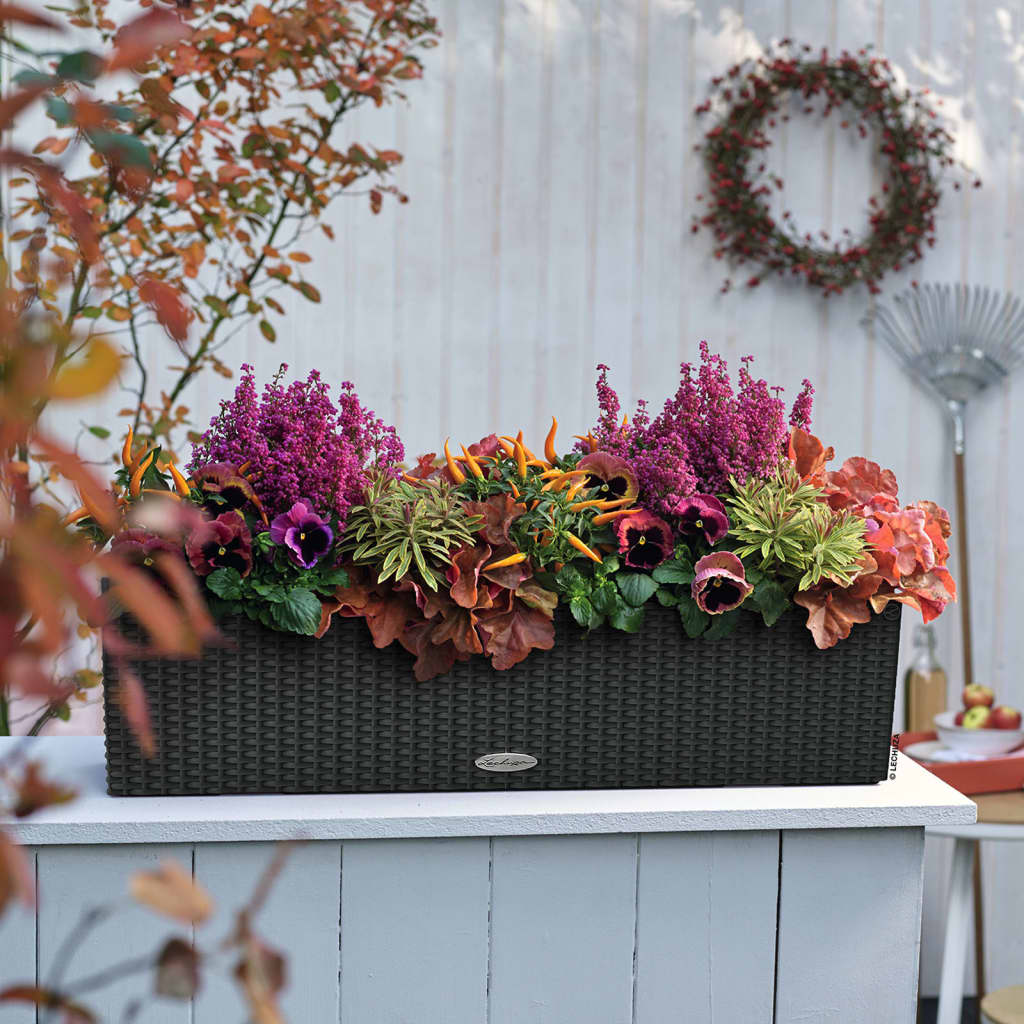 Lechuza Plantenbak Balconera Cottage 80 All-In-One Kleurig