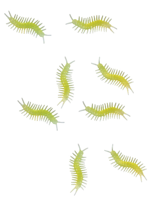 8 Mille pattes phosphorescents 6 cm