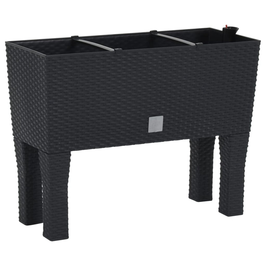 Plantenbak Verhoogd 60X25X46 Cm Pp Rattan Antracietkleurig