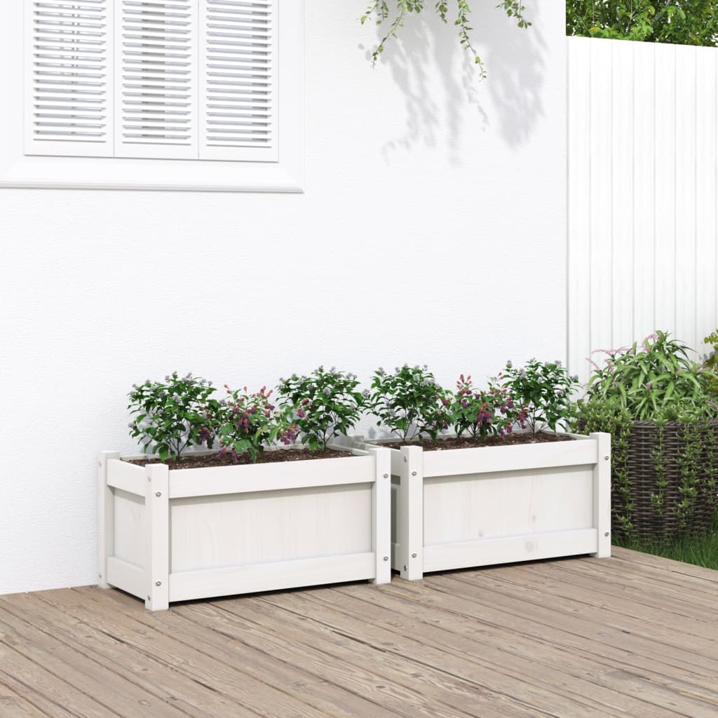 Plantenbakken 2 St Cm Massief Grenenhout Wit
