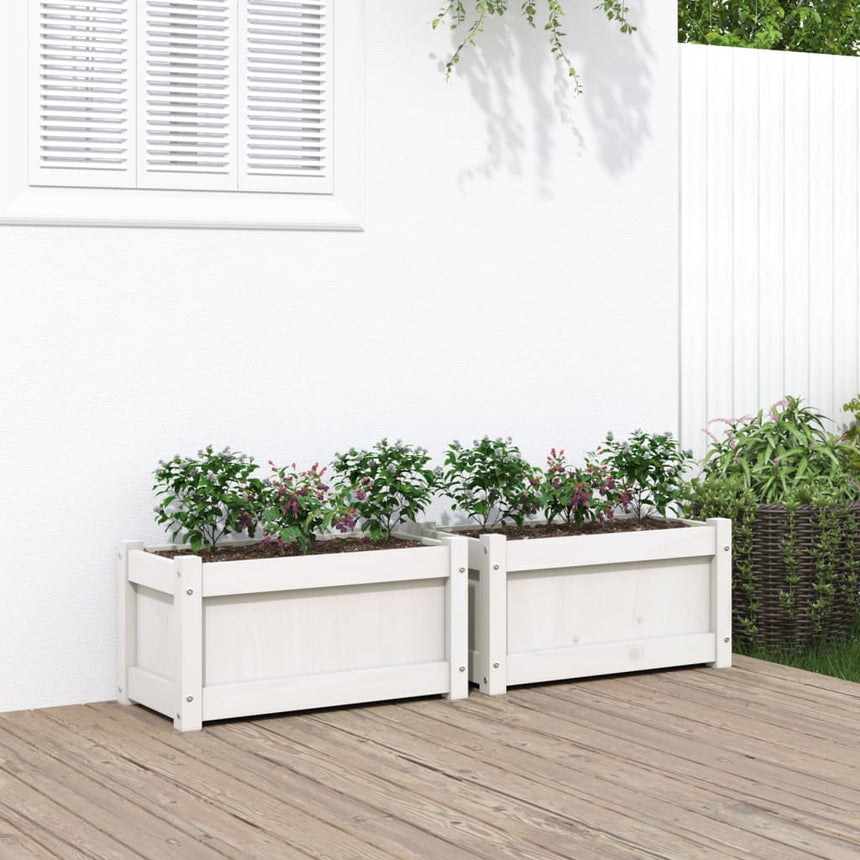 Plantenbakken 2 St Cm Massief Grenenhout Wit