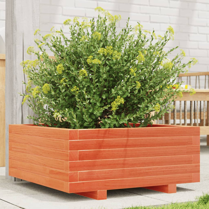 Plantenbak 60X60X26,5 Cm Massief Grenenhout Wasbruin Wit