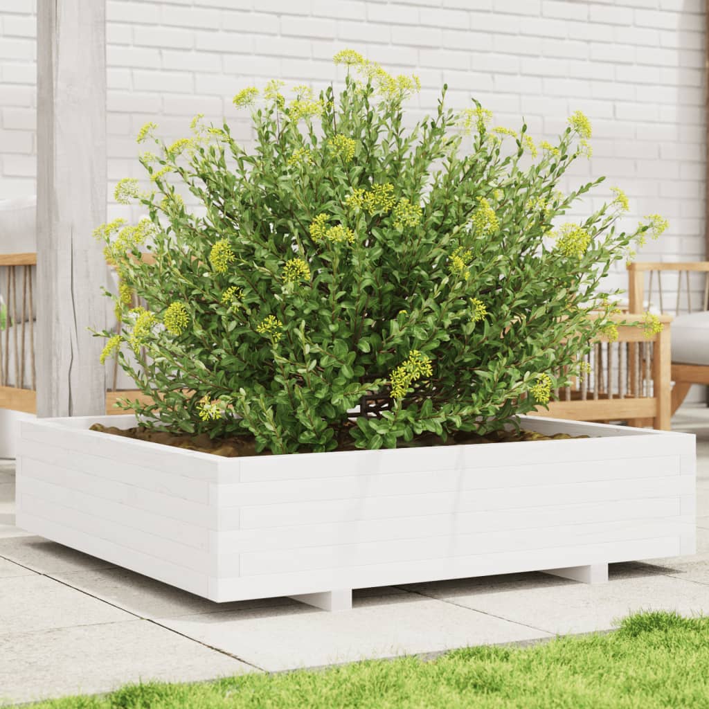 Plantenbak 100X100X26,5 Cm Massief Grenenhout Wit Natuurlijk Douglashout
