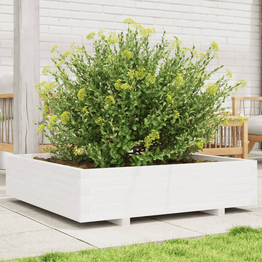 Plantenbak 100X100X26,5 Cm Massief Grenenhout Wit Natuurlijk Douglashout